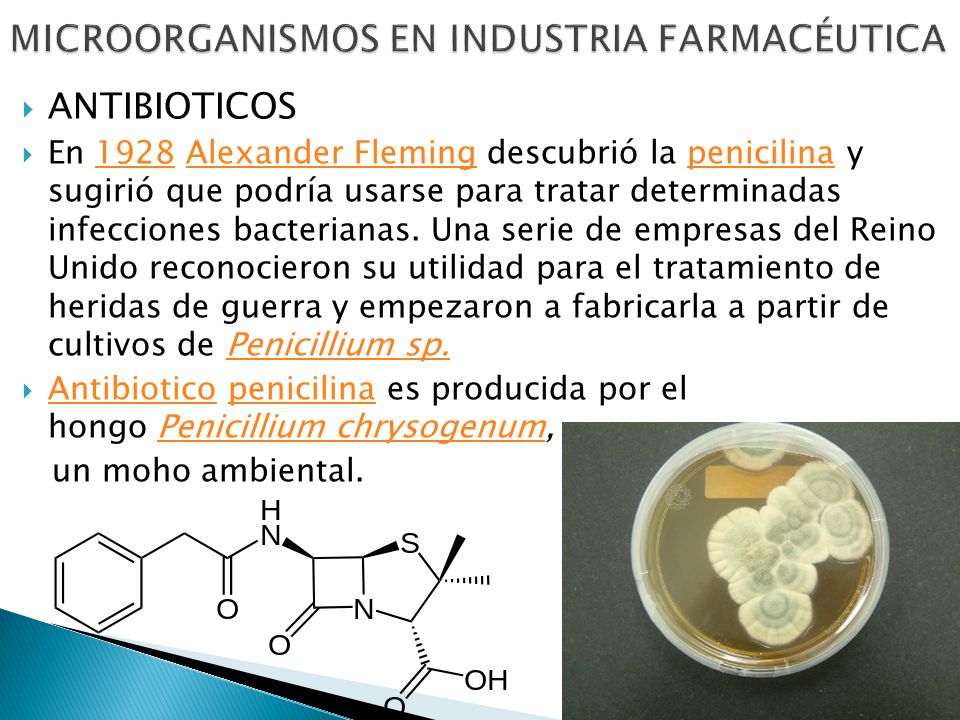 El hongo en los pies el tratamiento la medicina